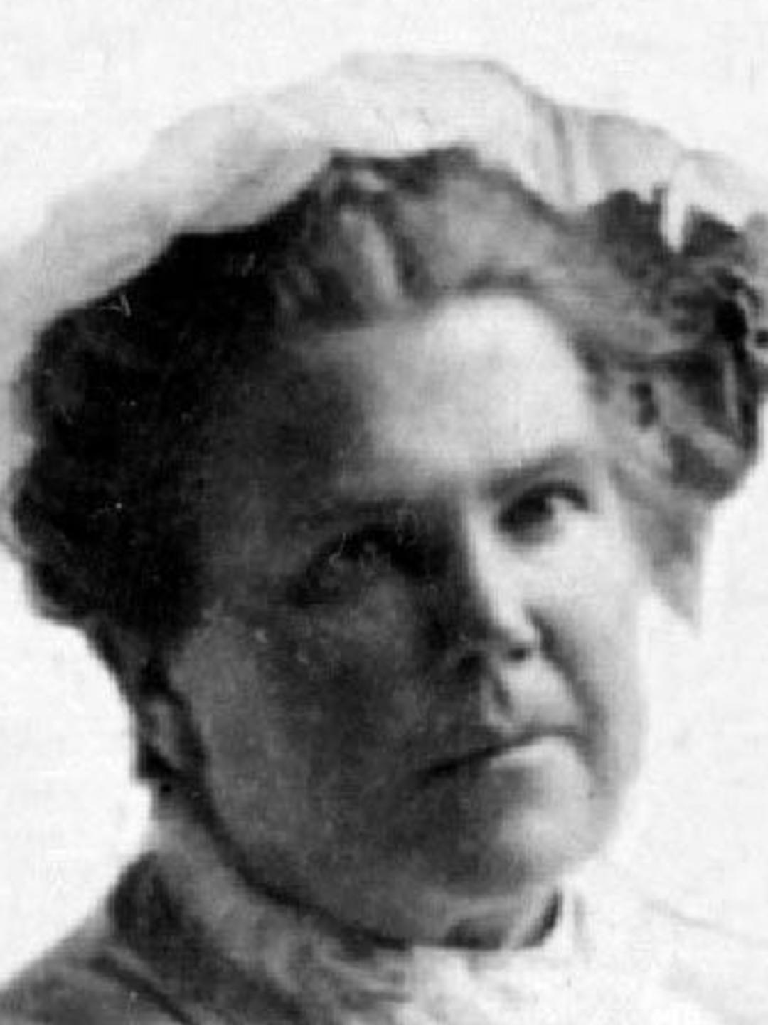 Sarah Elizabeth Hobbs (1853 - 1925) Profile